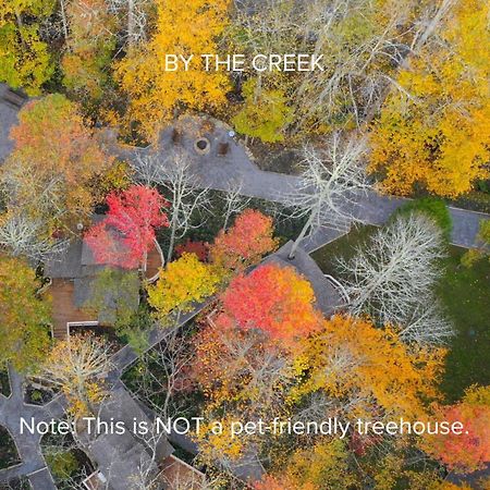 The Dogwood In Treehouse Grove At Norton Creek Villa Gatlinburg Eksteriør bilde