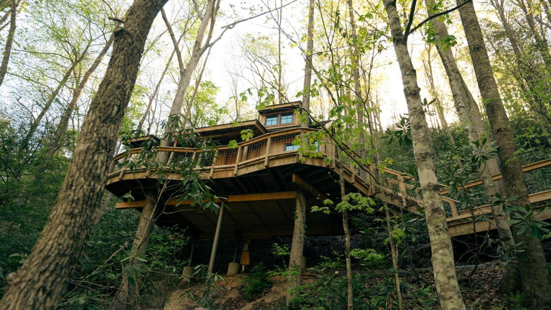 The Dogwood In Treehouse Grove At Norton Creek Villa Gatlinburg Eksteriør bilde