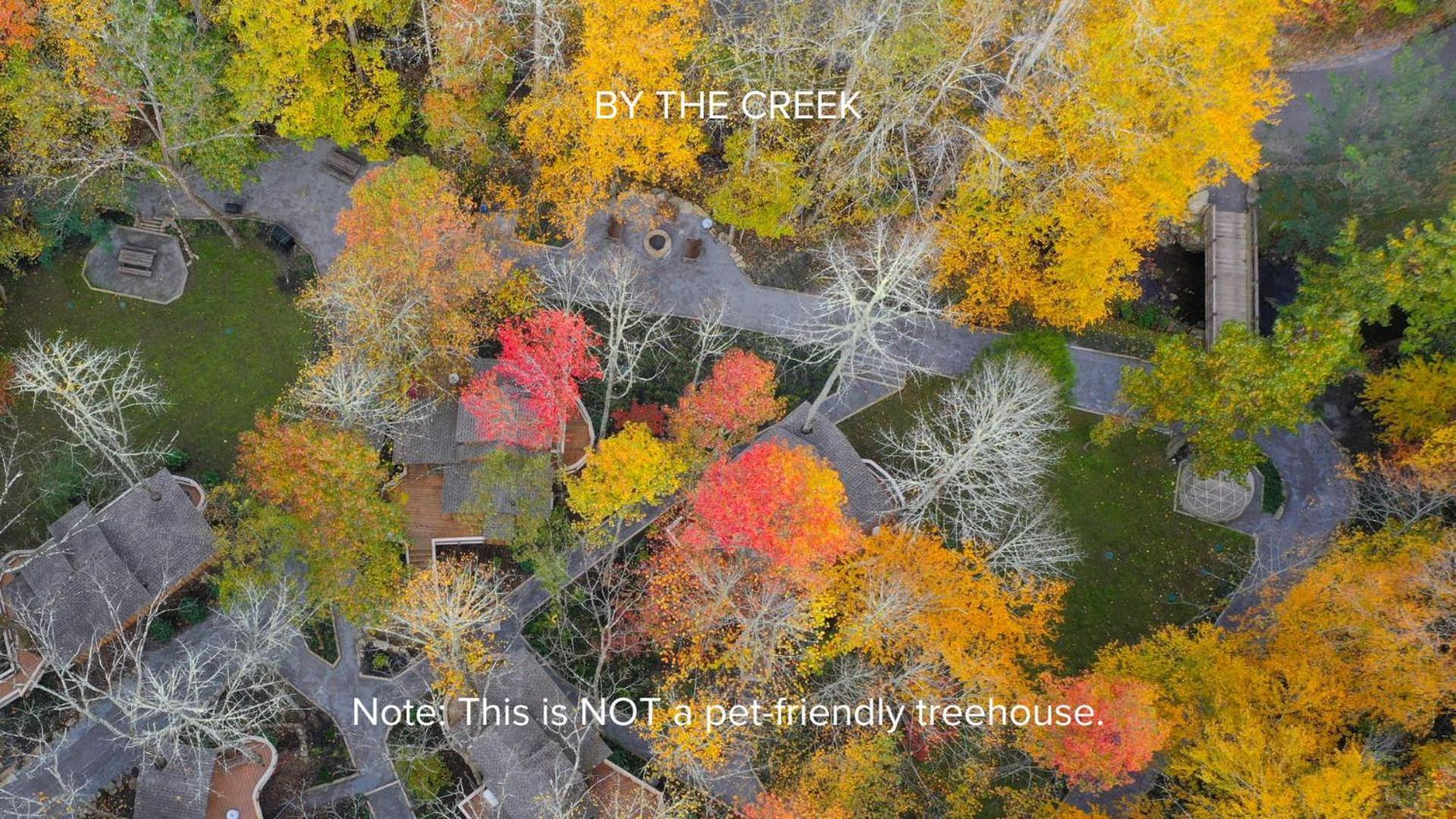 The Dogwood In Treehouse Grove At Norton Creek Villa Gatlinburg Eksteriør bilde